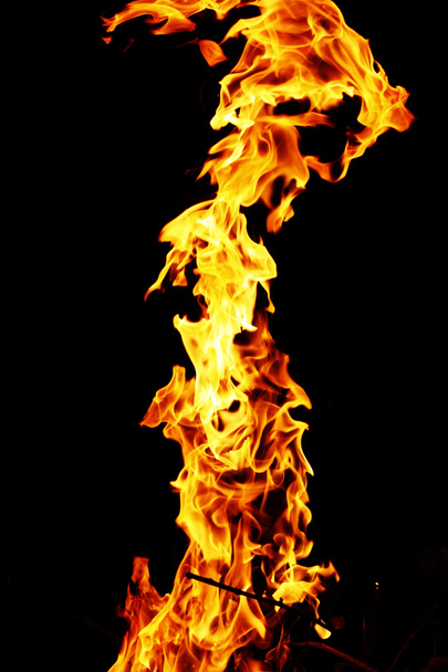 Flame - Zdjęcie, obraz