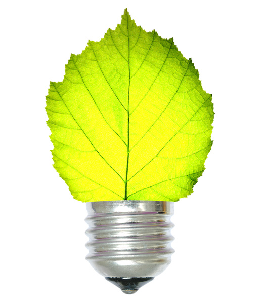 Koncepcja zielonej energii - Zdjęcie, obraz
