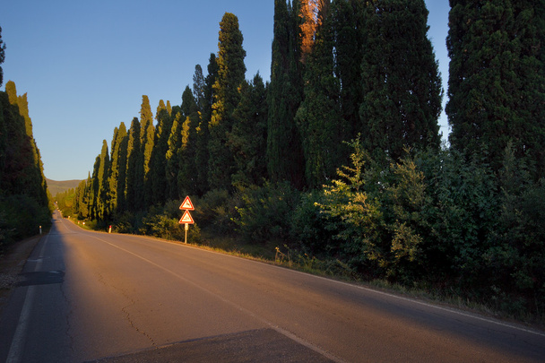 Italy, Tuscany, Castagneto Carducci, Bolgheri, Road and cypresse - Zdjęcie, obraz