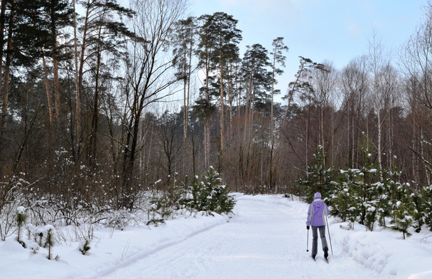 Катание на лыжах в лесу
 - Фото, изображение