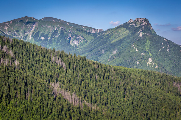 The popular mountain Giewont in Polish Tatra Mountains. - Fotoğraf, Görsel