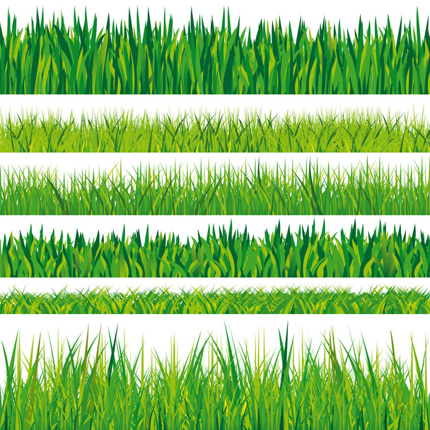 grass texture collection, isolated on white background  - Vector, Image