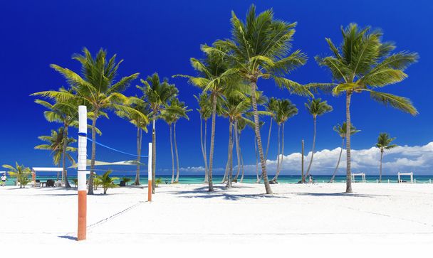 Strand a trópusi szigeten - Fotó, kép