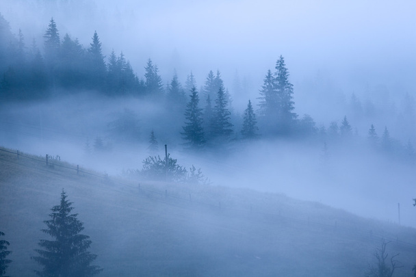 Mattina nebbia in montagna
. - Foto, immagini