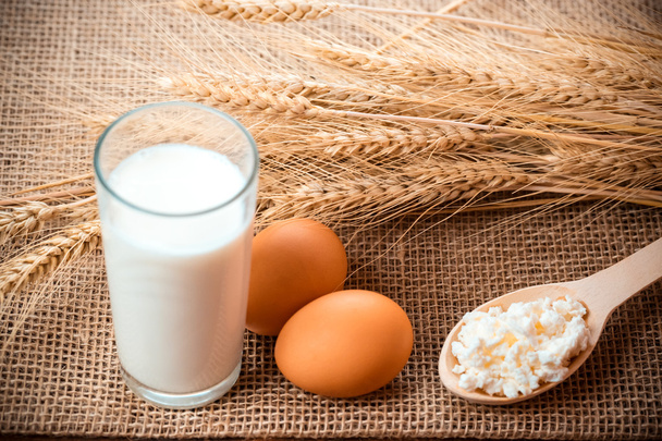 glass of milk,  eggs and cottage cheese - Фото, зображення