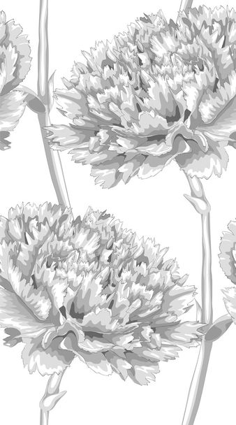 schönen monochromen, schwarz-weißen nahtlosen Hintergrund mit Nelke. handgezeichnet mit Wirkung der Zeichnung in Aquarell - Vektor, Bild