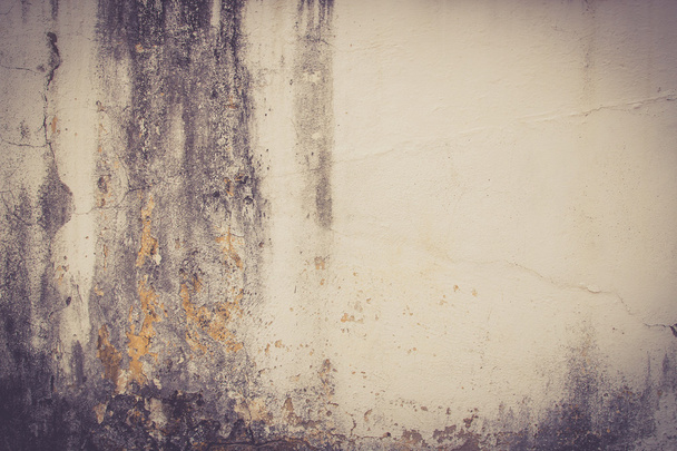 hi res grunge cement texture and old background - Zdjęcie, obraz