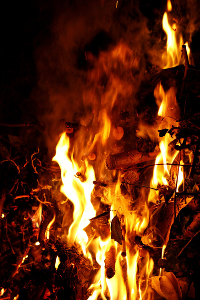 Campfire - Fotoğraf, Görsel