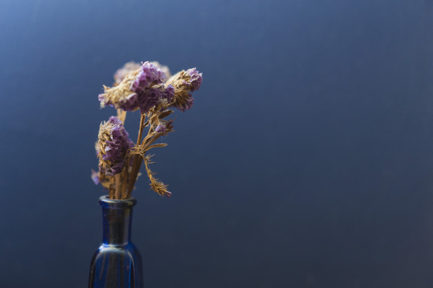 Квіти на скляному горщику на твердому синьому фоні
 - Фото, зображення