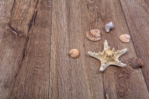 Зоряна риба і мушлі на дерев'яному фоні
 - Фото, зображення