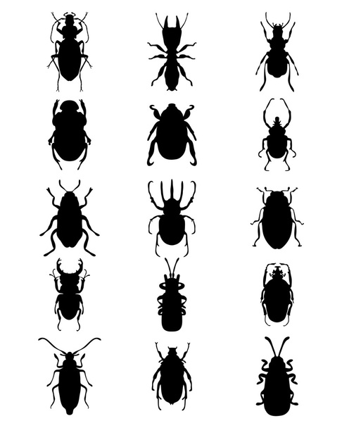silhouettes of bugs - Vector, Image