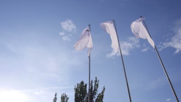 Beyaz bayrak rüzgar ağaçların önünde sallayarak - Video, Çekim