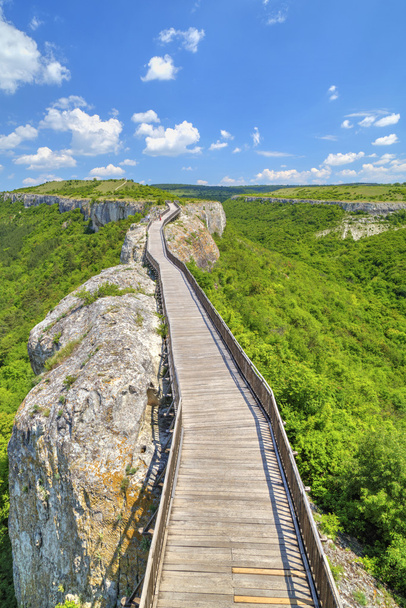Красивый пейзаж с деревянным мостом
 - Фото, изображение
