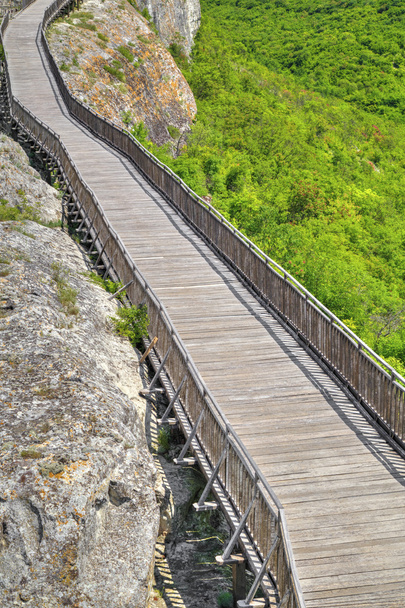 Beautiful landscape with wooden bridge - Photo, Image