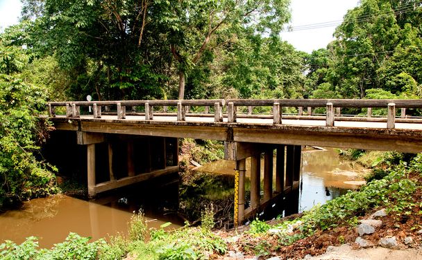 A ponte de cimento velha através do rio na floresta
 - Foto, Imagem