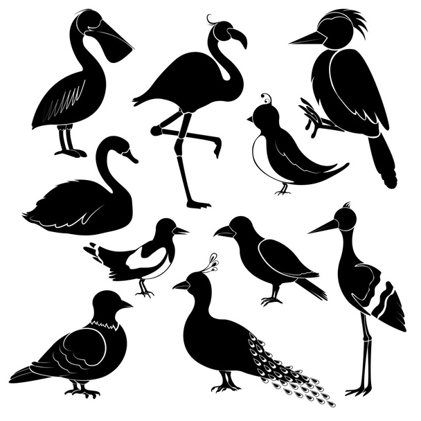 Silhouetten verschiedener Vögel auf weißem Hintergrund. - Vektor, Bild