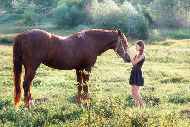 Girl stroking her horse  - Photo, Image