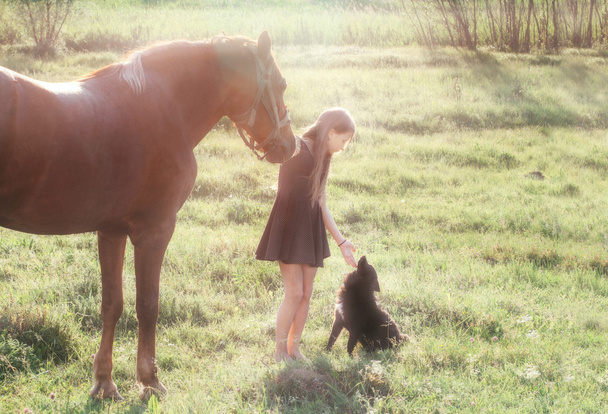 Girl leads her horse and stroking black dog - Photo, Image