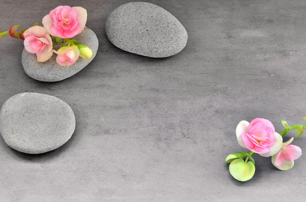 květina a kámen zen spa na šedém pozadí - Fotografie, Obrázek