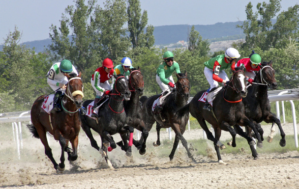 Paardenrennen in Pyatigorsk. - Foto, afbeelding