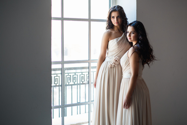 Beautiful twins young women in in gorgeous evening dresses in a loft space in a morning - Foto, afbeelding