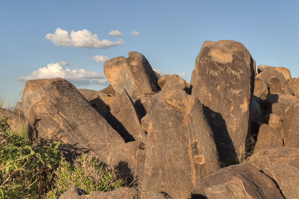 Petroglyphs Saguaro Nemzeti Park - Fotó, kép