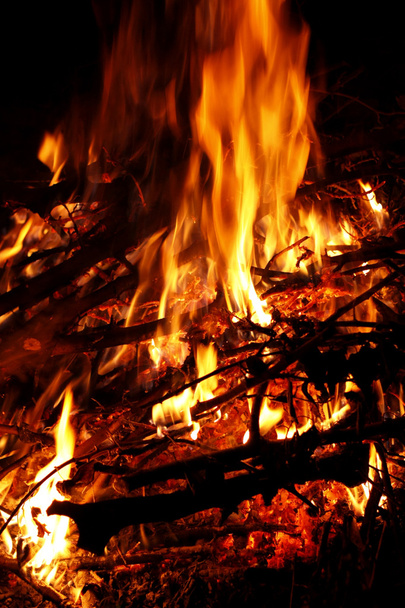Campfire - Foto, Imagem