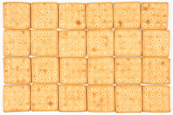24 biscuits
 - Photo, image