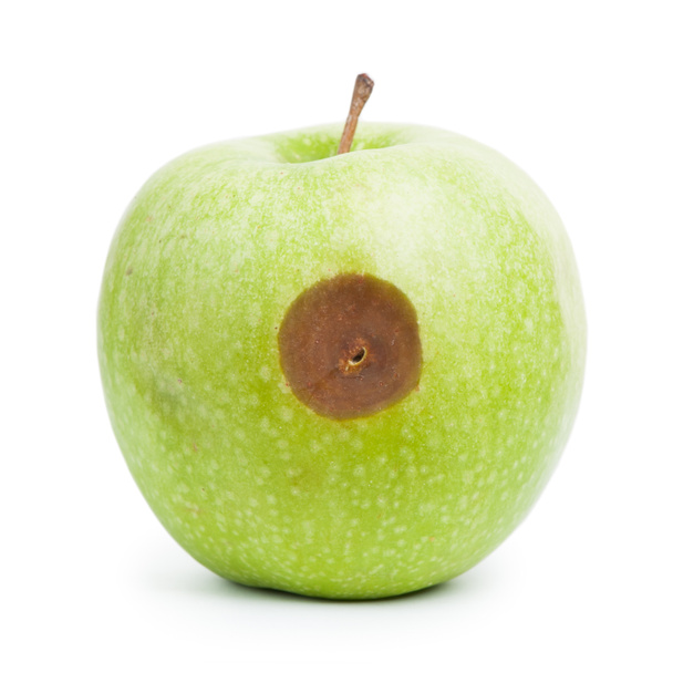 Manzana verde podrida
 - Foto, imagen