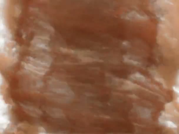 Sandy a tornado on a white background - Filmmaterial, Video