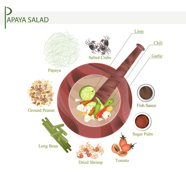 11 Ingredients Green Papaya Salad with Fermented Salted Crabs - Vector, Image