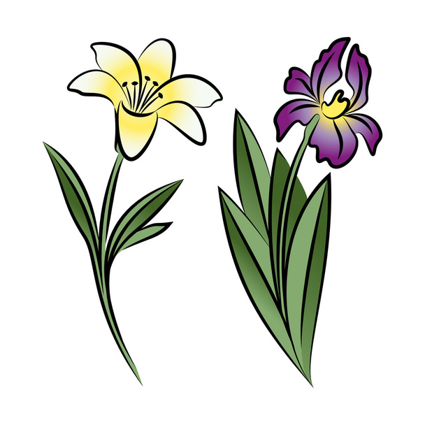 Set of two outlined flowers. Lily and iris  - Vector, imagen