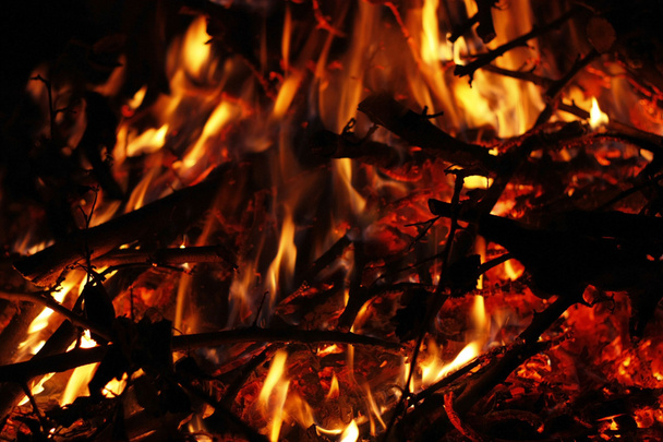 Campfire - Foto, Imagen