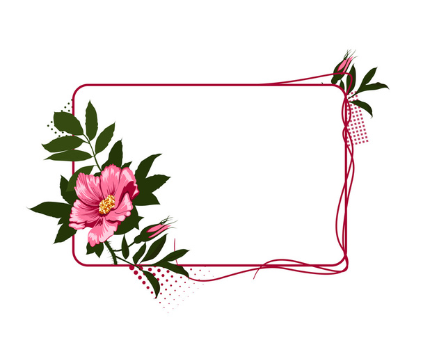 The frame with the wild pink roses - Foto, imagen