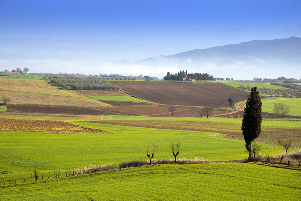 Tuscany farmland with building and fileds - Photo, Image