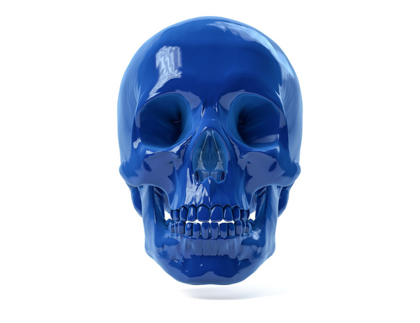 Cráneo humano aislado 3D
. - Foto, imagen
