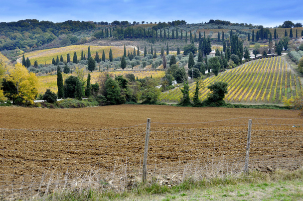 Tuscany landscape with fields and hills - Photo, Image