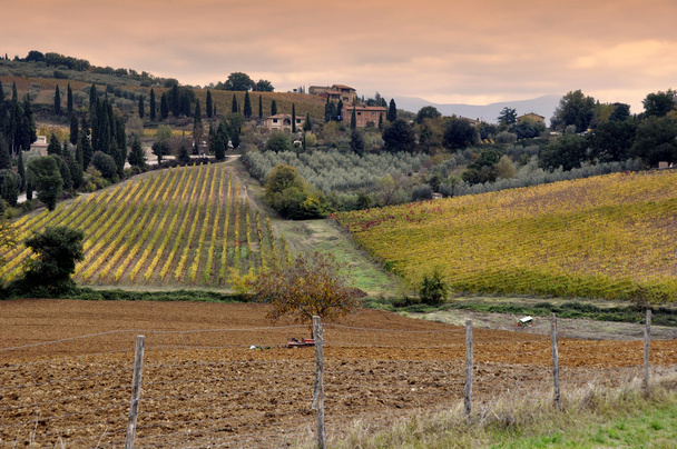 Tuscany farmland - Photo, Image