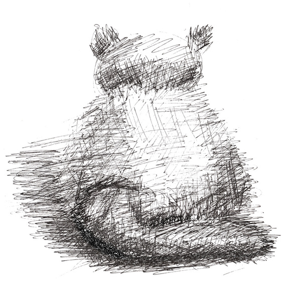 Cat in sketch-style - Fotó, kép