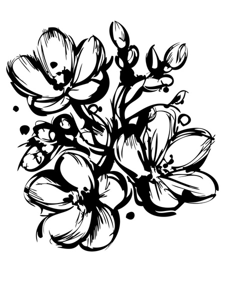 Blackly white sketch of spring colors three buds - Wektor, obraz