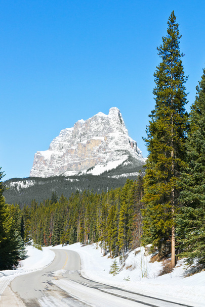 Castle Mountain, Banff Alberta - Фото, изображение