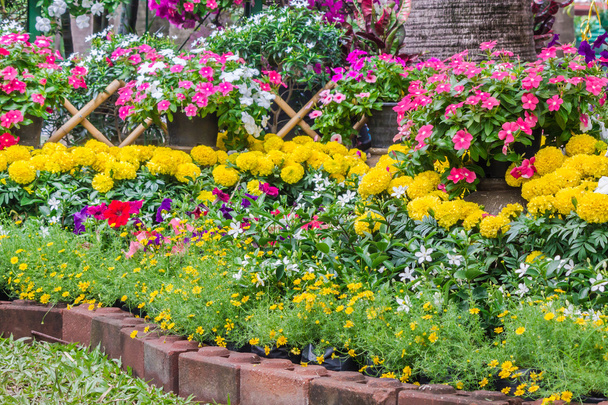 Valla de piquete rodeada de flores en un patio delantero
. - Foto, Imagen