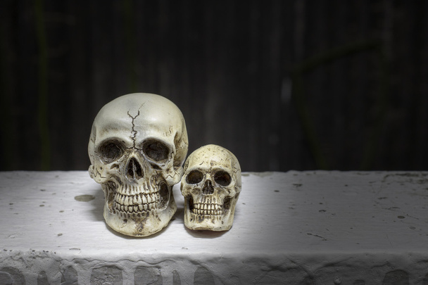 Human skull on a dark background - Foto, Imagem