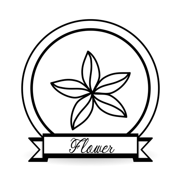 Blumensymbol Design, Vektorillustration - Vektor, Bild