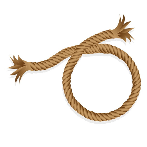 braided rope isolated - Vector, Image