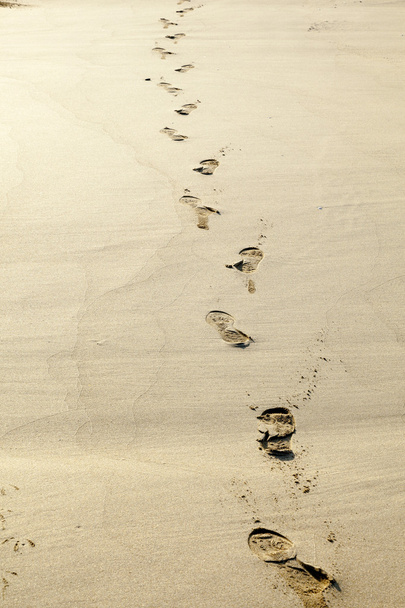 menselijke voetafdrukken in het zand op het strand - Foto, afbeelding