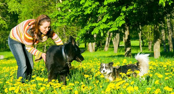 Woman with her dog on meadow - 写真・画像