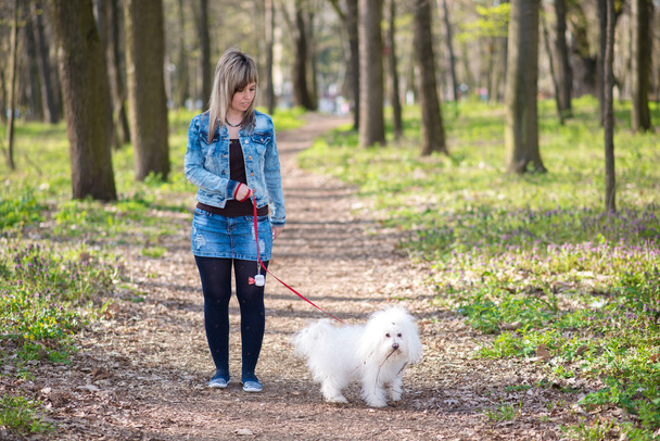 Beauty woman and her dog in the park - Foto, immagini