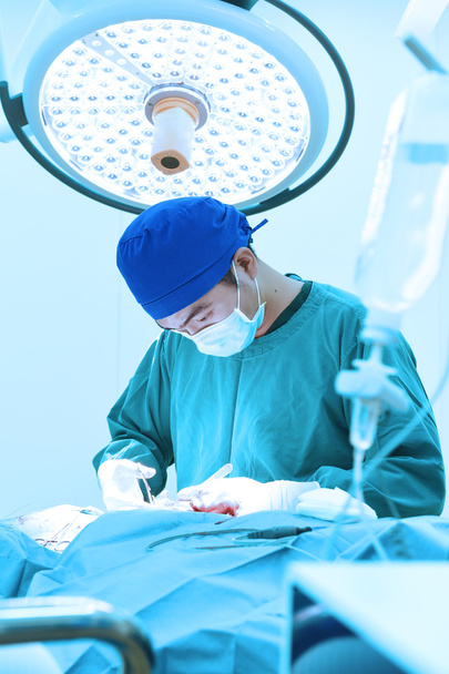 veterinarian surgery in operation room  - Valokuva, kuva