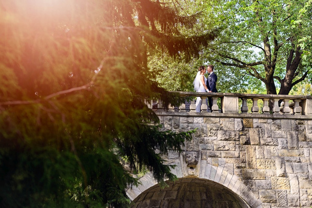 Young couple on the bridge in the park. - Foto, imagen